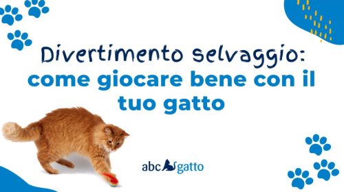 Divertimento selvaggio: come far giocare il tuo gatto